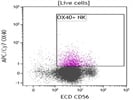APC/Cy7 Anti-Human CD134 (OX40) Antibody