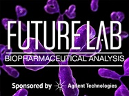 Column and Mobile Phase Choice for LC/MS Characterization of Biologics