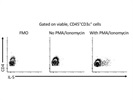 Brightly Staining IL-5 Antibody
