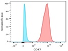 Antibody To Quantify Cell Surface CD47 Expression