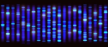 lncRNA