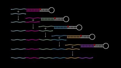 DNA