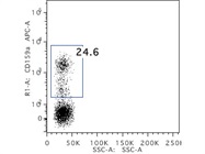Antibody To Detect NK Cells