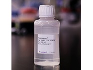 A New Choice for PMC isolation: Lymphopure™