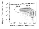 CD11b for BMDC