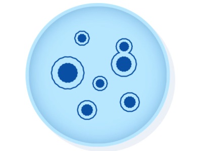  Should Your Lab Choose a Direct Heat or Water Jacket CO2 Incubator?