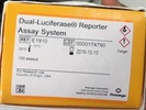 Convenient Dual-Luciferase Reporter Assay Kit