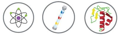 mass spec illustrations