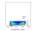Bright Antibody For Staining Human CD45RA+ Cells
