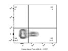 Decently Bright Antibody For CCR7+ Human Cells