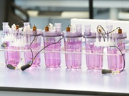 Platform Bioprocesses for mAbs