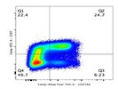 Human CCR7 AF488 Antibody For FACS