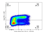 Human CCR7 AF488 Antibody For FACS