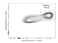 Mouse CD24 PE-Cy7 for FACS