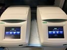 T100 Thermal Cycler