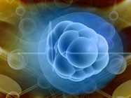 Take the Biocompare Quiz: Stem cells, Incubators, and More