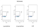 Intracellular Flow Cytometry Allows To Detect Bcl6+ T Cells