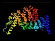 A Sensitive and Simple Workflow for In-Depth Peptide Mapping