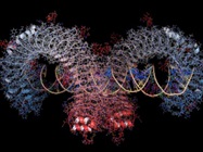 Exploring RNA-Protein Interactions