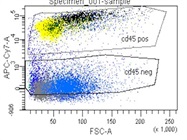 Reliable CD45 Flow Cytometry Staining