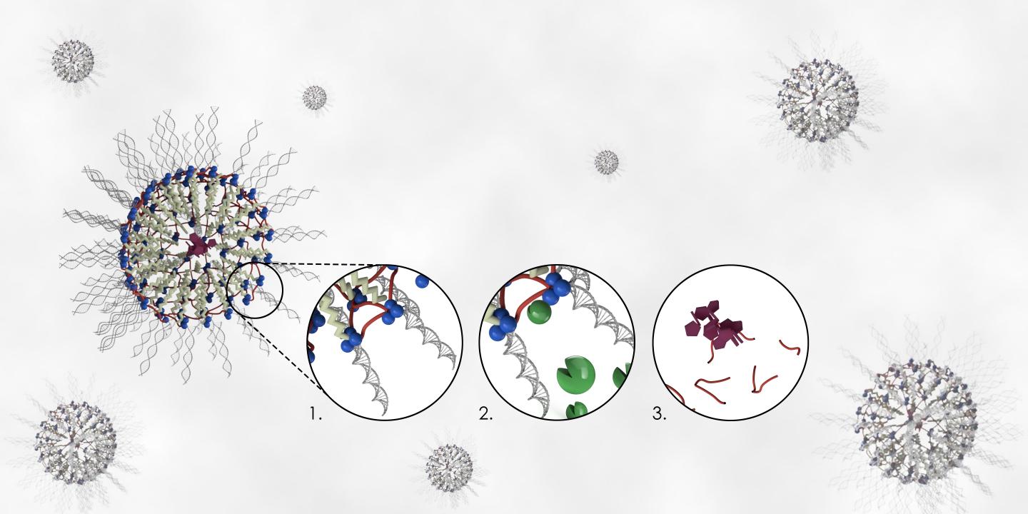 nanocapsule drug delivery system