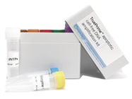 New! TruePrime™ apoptotic cell-free DNA amplification kit