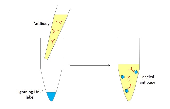 Lightning-Link Process Schematic