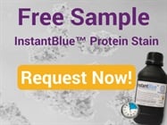 FREE SAMPLE – 15 min Coomassie Stain InstantBlue™