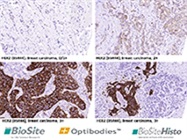 Optibodies™  - When Good Is Not Enough