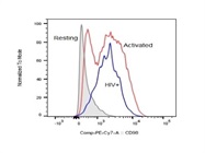 Good CD98 Staining On Human PBMCs