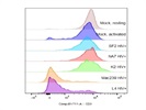 Excellent CD3 Staining On Human PBMCs