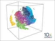 Single Cell Genomics