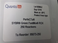 SYBR Green Master Mix
