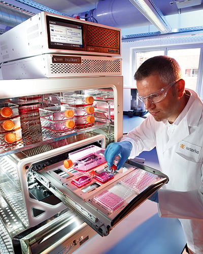 Researcher inspecting cells
