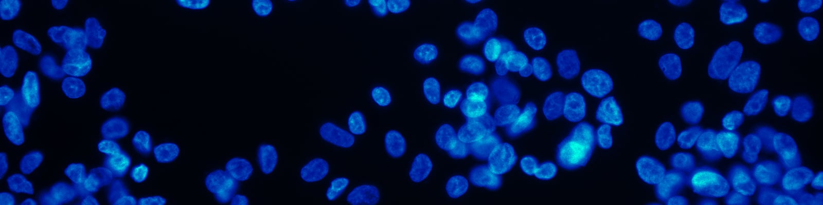  Making Sure that Cells Are Healthy