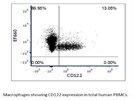 Antibody for CD122