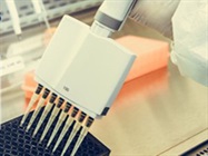 ELISA Testing Services