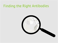 Watch Video: Biorbyt - An Easy Way to Find the Right Antibodies