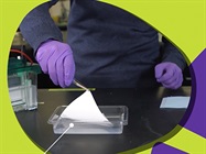 Watch Video: Skip the Pre-Wet Step with Immobilon®-E PVDF Membrane