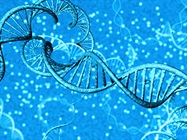 The Nascent Epitranscriptome