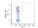 Anti-CD25 Antibody