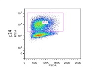 HIV-1 Core Antigen Antibody