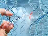 Flow Cytometry Streamlines CRISPR Process