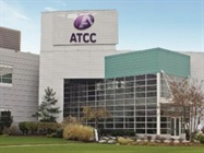 Watch Webinar: Introduction to ATCC® Microbiome Standards
