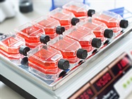 Cell Culture Media Selection