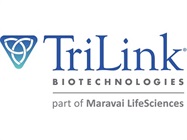 The Modified Nucleic acid experts