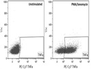 Anti-Human PE/Cy7-TNFa Antibody