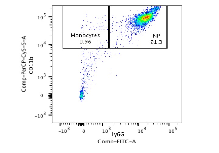 great anti mouse cd11b percp cy5 5 antibody biocompare antibody review percp cy5 5