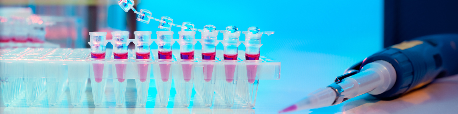  Advances Make PCR Even More Useful