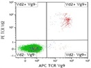PE Anti-Human TCR Vd2 Antibody